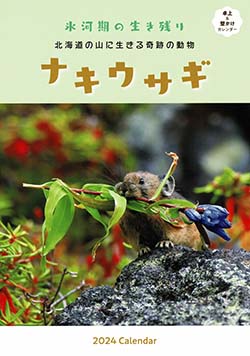 ナキウサギカレンダー2024年